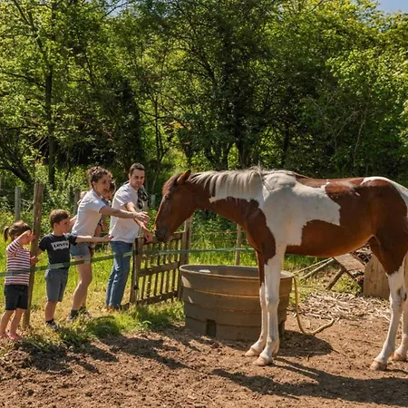 Campingplatz Maison Spacieuse, Animaux Acceptes - 9 Pers. - Api-1-52-2326 *