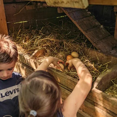 Kemp Maison Spacieuse, Animaux Acceptes - 9 Pers. - Api-1-52-2326 *
